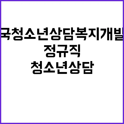 한국청소년상담복지개…