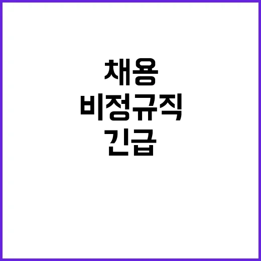 2024년 의료요원(진료의사) 19차 초빙(긴급) 공고