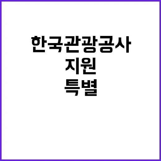 한국관광공사 비정규…