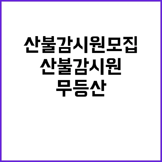 국립공원공단 비정규…