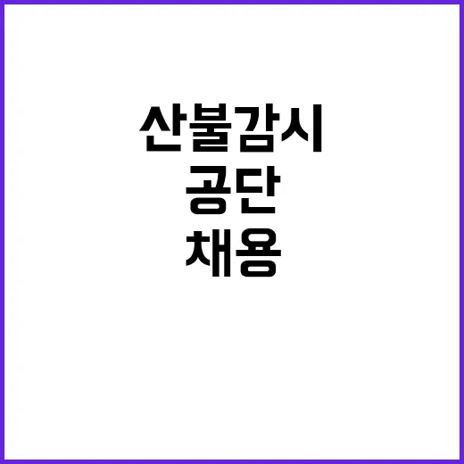 국립공원공단 비정규…