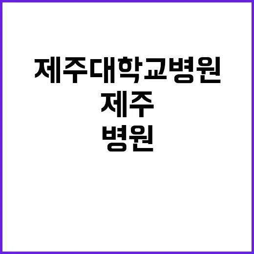 제주대학교병원 비정…