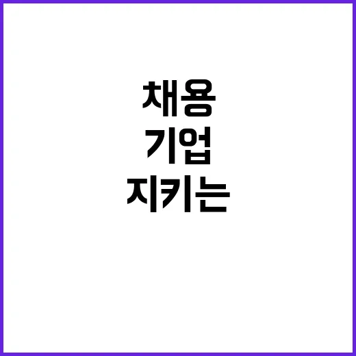 중소기업은행 비정규…