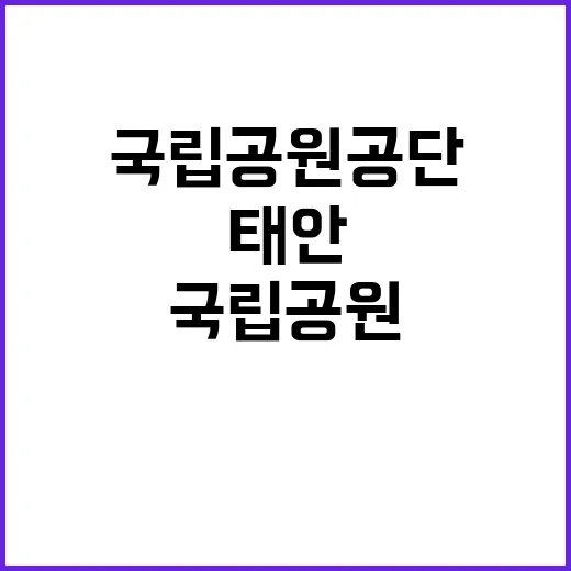 [태안] 2024년 태안해안 한시인력(탐방운전) 채용 공고