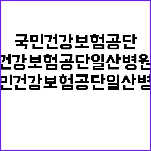 국민건강보험공단 일…