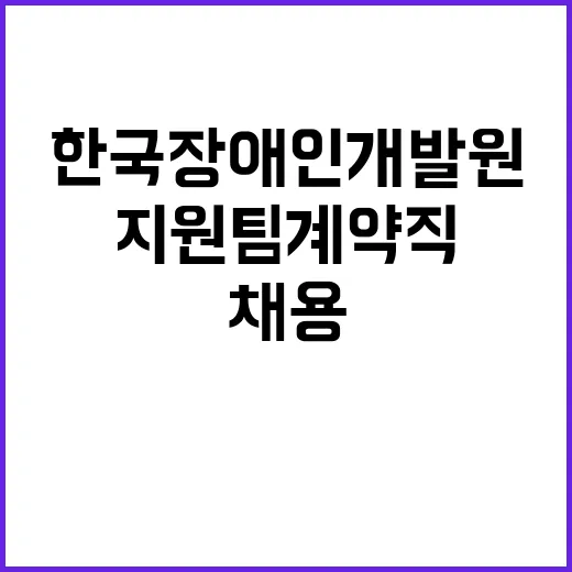 [2024-112호] 한국장애인개발원 2024년도 2차 정책지원부 정책지원팀 기간제계약직 채용 공고