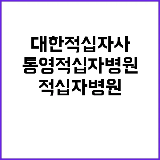 대한적십자사 비정규…