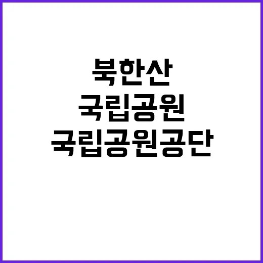 국립공원공단 비정규…