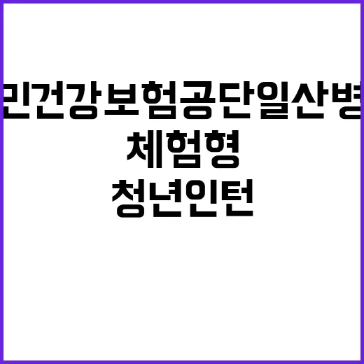 국민건강보험공단 일…