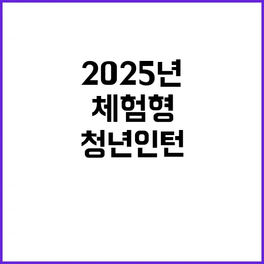 2025년 한국과학기술기획평가원  체험형 청년인턴(장애인 제한경쟁) 공개채용