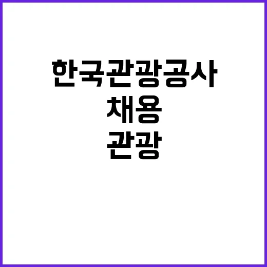 한국관광공사 비정규…