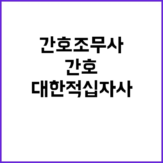 대한적십자사 정규직…