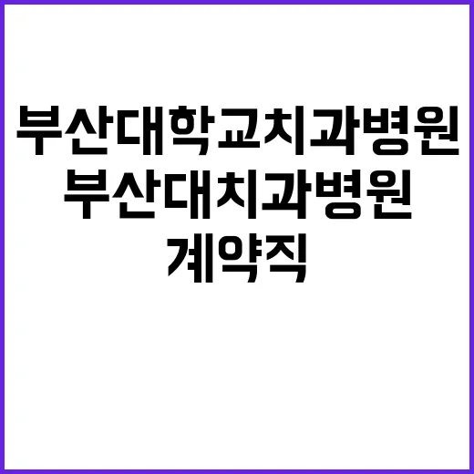 부산대학교치과병원 계약직(보건직) 직원 모집 공고