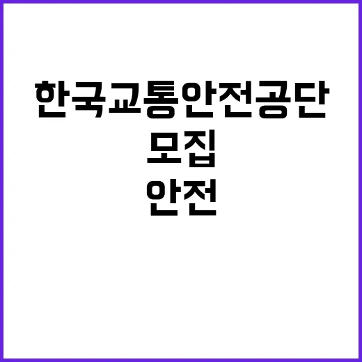 한국교통안전공단 비…