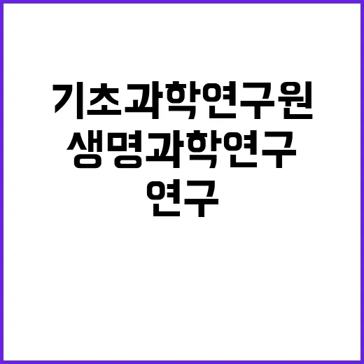 기초과학연구원 비정…