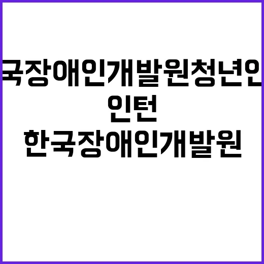 한국장애인개발원 청…