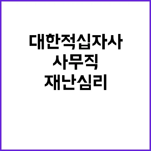 대한적십자사 정규직…