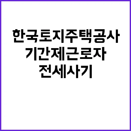 한국토지주택공사 강원지역본부 전세사기 피해지원 기간제근로자 채용공고