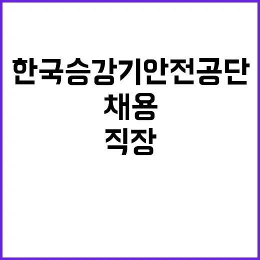 한국승강기안전공단 2025년 기간제근로자(컨소시엄,전산) 채용 공고