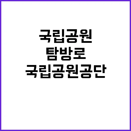 국립공원공단 비정규…