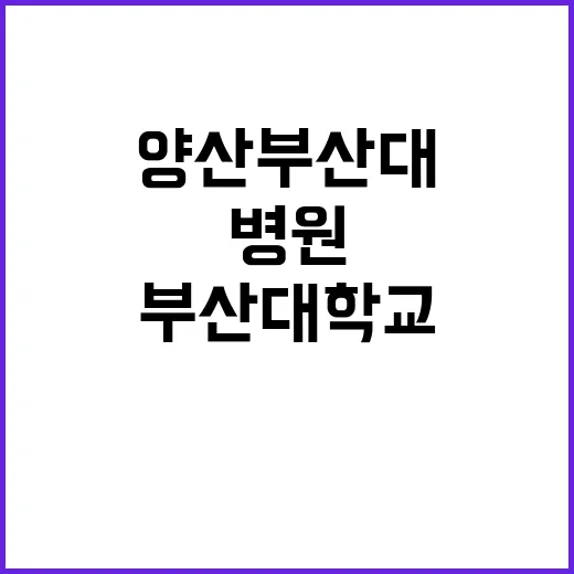 양산부산대학교병원 계약직의사 공개채용(12월) 모집 공고