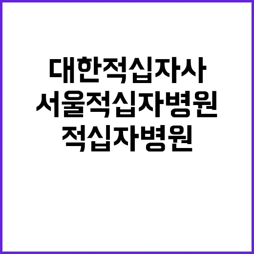 서울적십자병원 계약직 직원(휴직대체 정형외과 전담간호사, 기능직(장애인제한경쟁) 사무보조원) 신규채용 공고