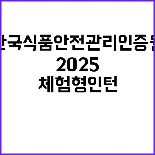 2025년 제1차 체험형인턴 및 계약직직원 채용 공고