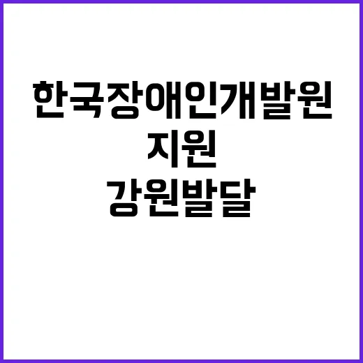 [제2024-116호] 2024년 제6차 강원특별자치도발달장애인지원센터 기간제 계약직 채용 공고