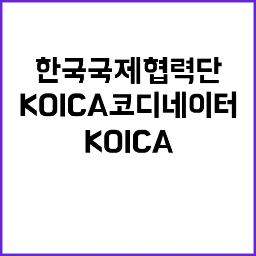 2025년 1차 KOICA 코디네이터 모집 선발 공고