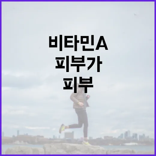 비타민 A: 내 피…