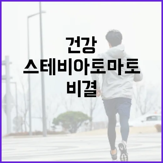스테비아 토마토 A…