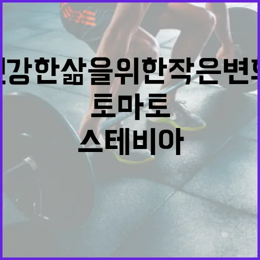 스테비아 토마토, …