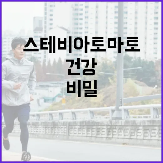 스테비아 토마토 달…