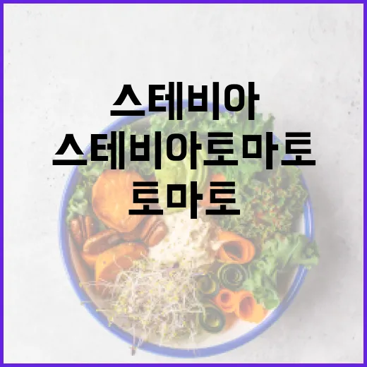 퇴근 후 스테비아 …