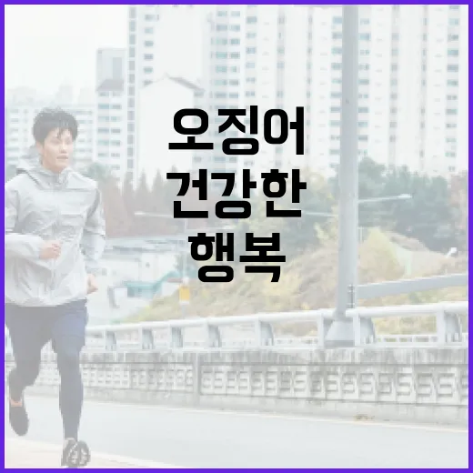 오징어가 주는 건강…