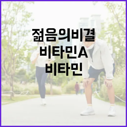 비타민 A로 되찾은…
