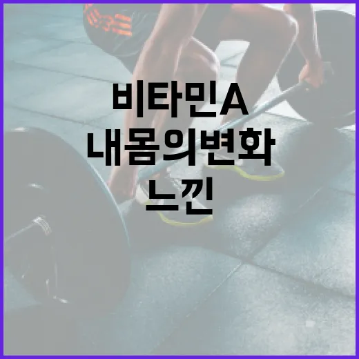 비타민 A, 내 몸…