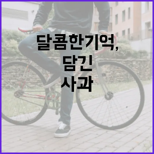 사과의 달콤한 기억…