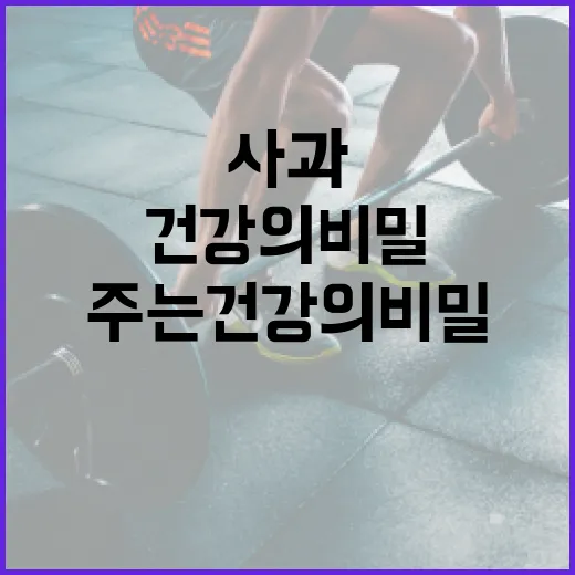 사과가 주는 건강의…