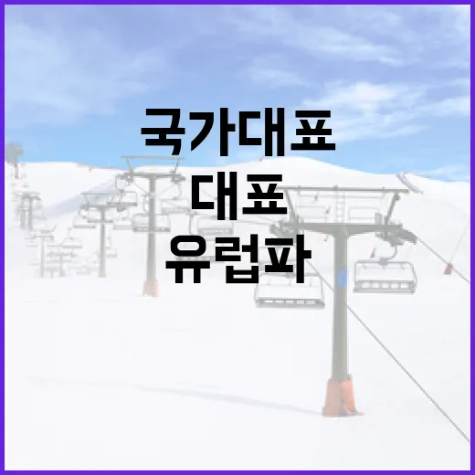 양현준 국가대표 복…