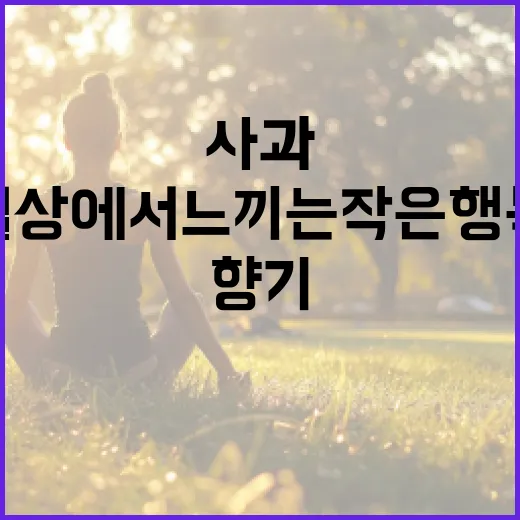 사과의 향기: 일상…