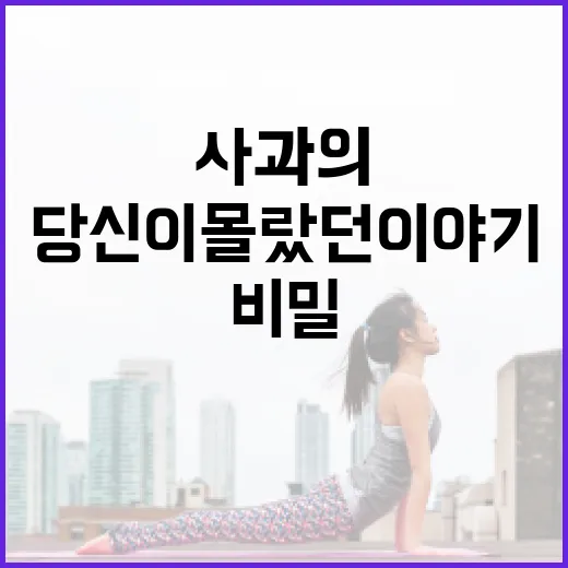 사과의 건강 비밀,…