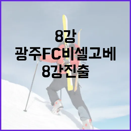 광주FC 비셀 고베…