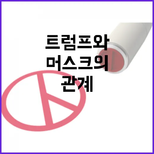 머스크의 정치적 압…