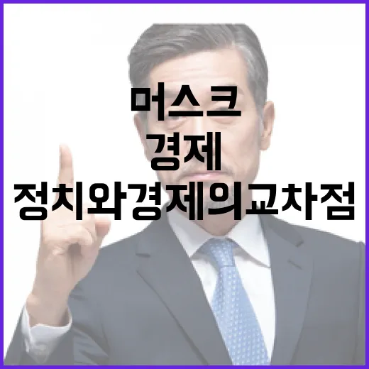 머스크의 경제적 영…