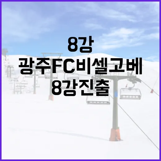 광주FC 비셀 고베…