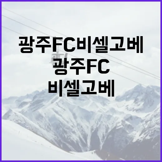 광주FC 비셀 고베…