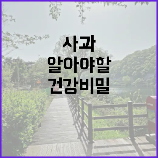 사과의 비밀, 아삭…