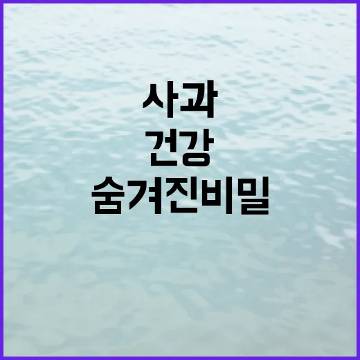 사과의 효능을 통한…