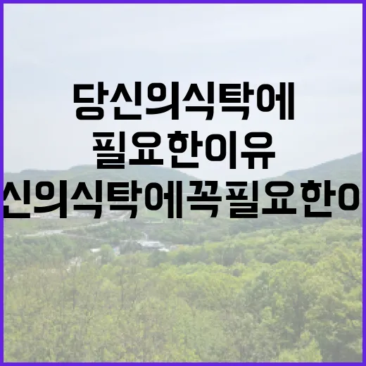 사과, 당신의 식탁…